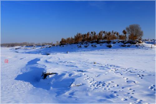 东北雪景