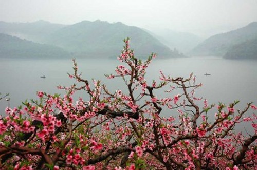 烟雨桃花潭作者/陈所巨