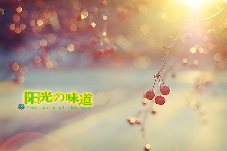 阳光的味道