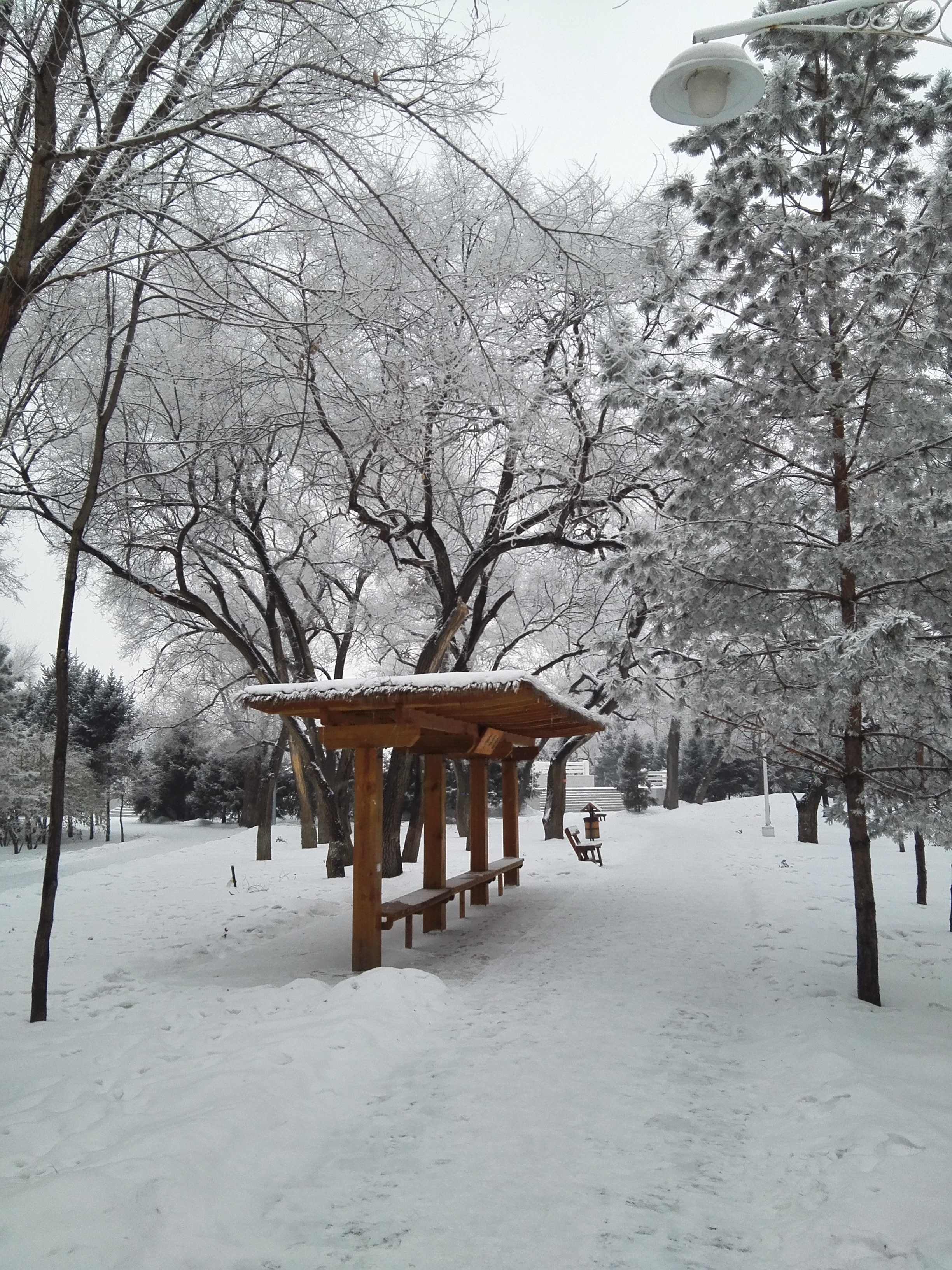 银白世界的遐想