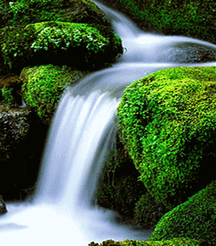 440_501gif 动态图 动图