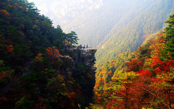 锦绣谷是庐山经典的景点,谷中自有故事,谷中自有传说,谷中步步诗画,一