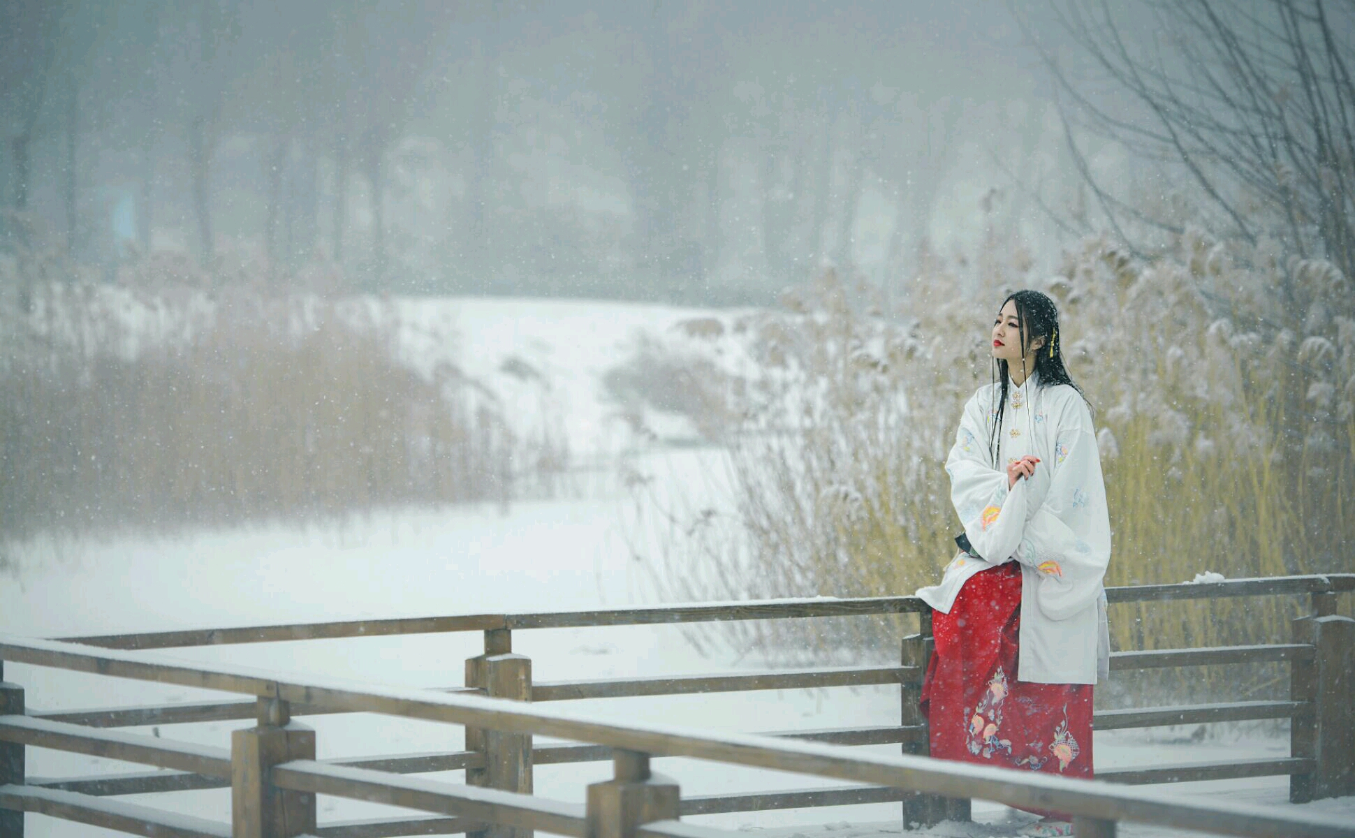 霁雪,少年锦衣卫霁雪(第3页)_大山谷图库