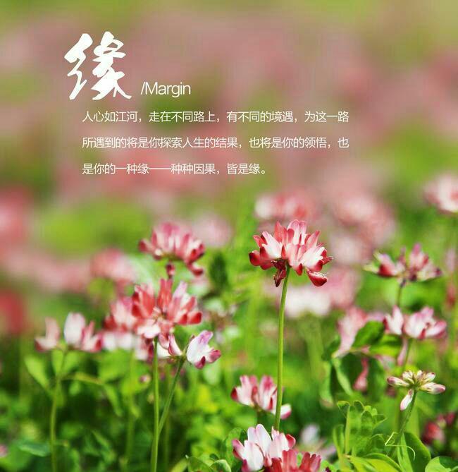 《珍惜有缘人》原创