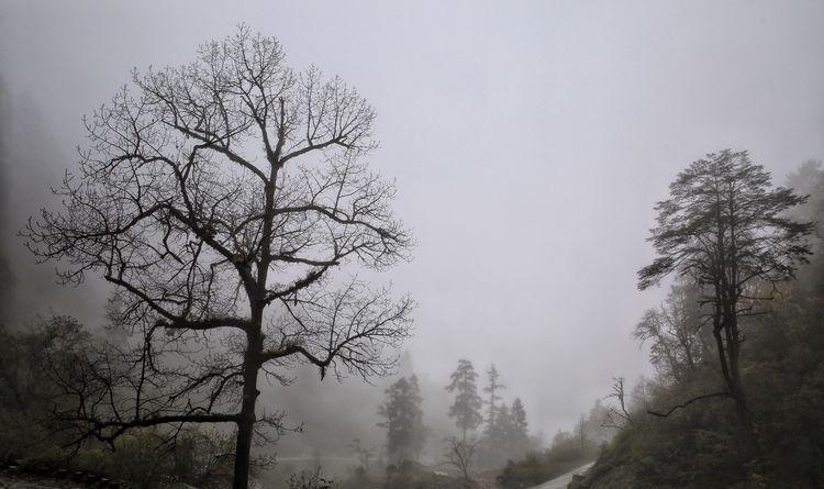 云深雾重 海螺沟—与冰川来一次亲密接触