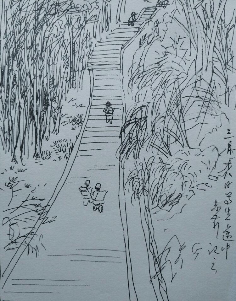 多少情境烟雨中——齐志前江南采风速写作品